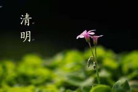 殡葬市场整顿联合执法，迁西在行动