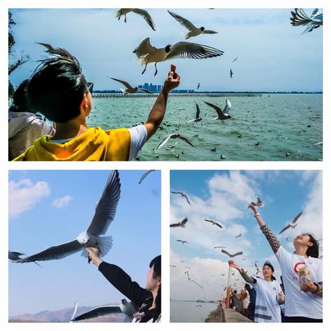 翰林国学—大连研学