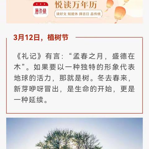 植树节家里宜栽的吉利树