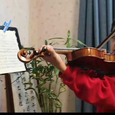 【家有琴童】孙子弦上才华初露