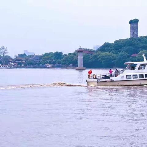 7月29日江心屿游记