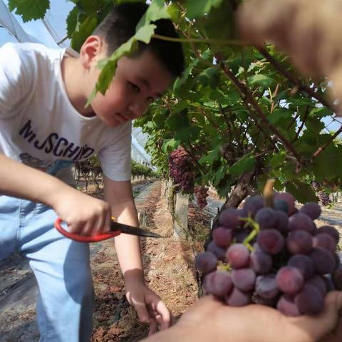 暑假要过得快乐,不然就浪费这美好的假期了😁😁