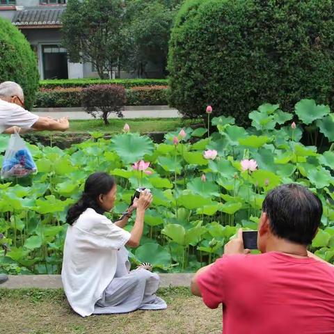 华西人物小记