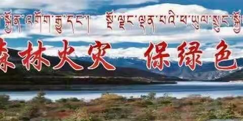 自进入防火期以来，德格县环境保护和林业局采取多种方式进行护林防火宣传工作，确保宣传工作家喻…