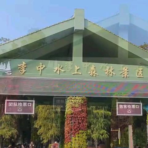 兴化游