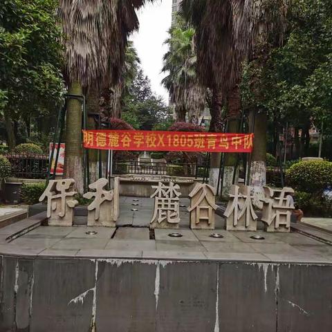 明德麓谷学校X1805暑期社会实践活动之捐书篇