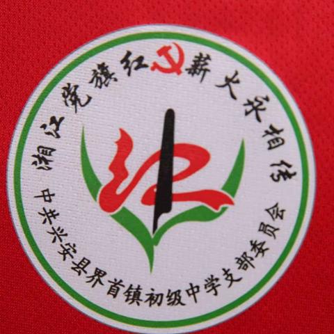 党旗领航     兴安县界首镇初级中学开展“学雷锋，树新风”志愿服务  “关心未来”文明实践活动