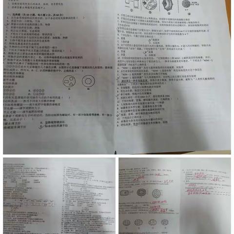 2019级高一生物第七周教研活动