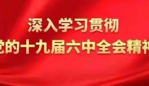 深入贯彻党的十九届六中全会精神——滨湖实验小学党支部主题党课活动