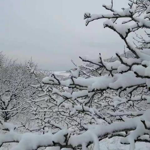 雪