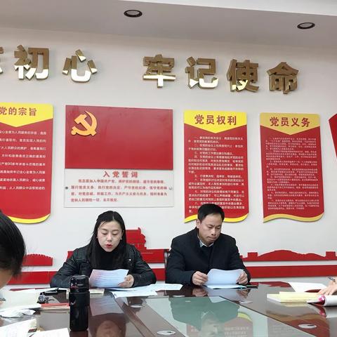 西大英才小学12月主题党日活动