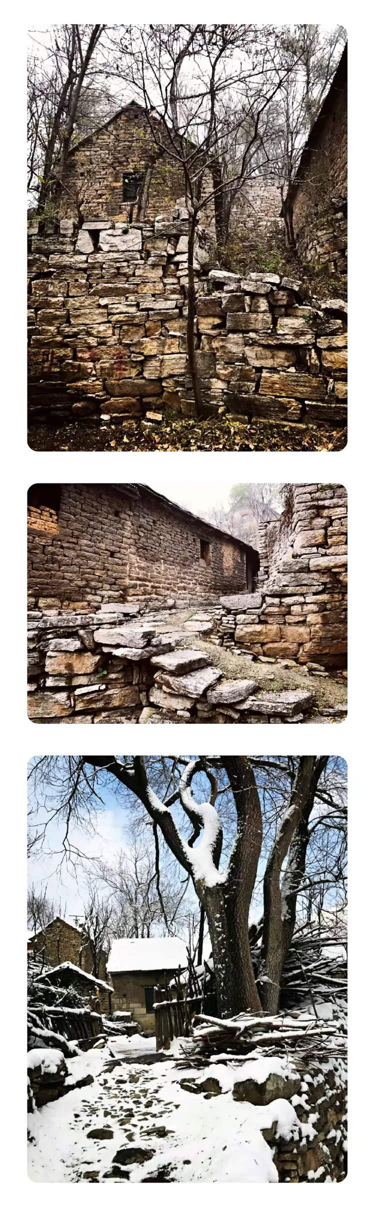 青州杨集写生基地