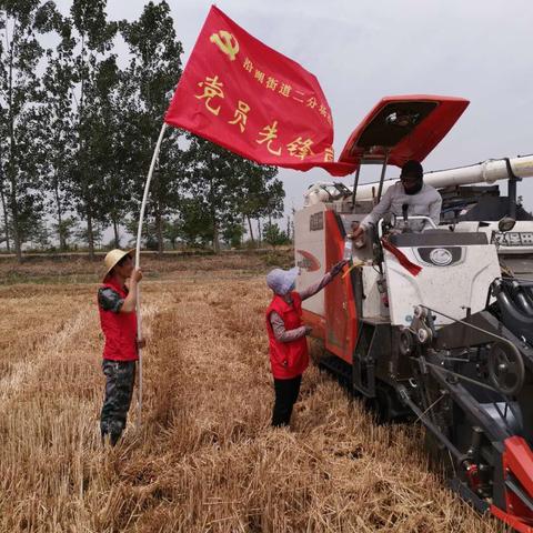 【新时代文明实践 铜山在行动】沿湖街道二分场：志愿者送清凉  农机手收割忙