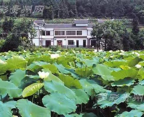 遵义区域凤岗县琊川乡镇客户会战报