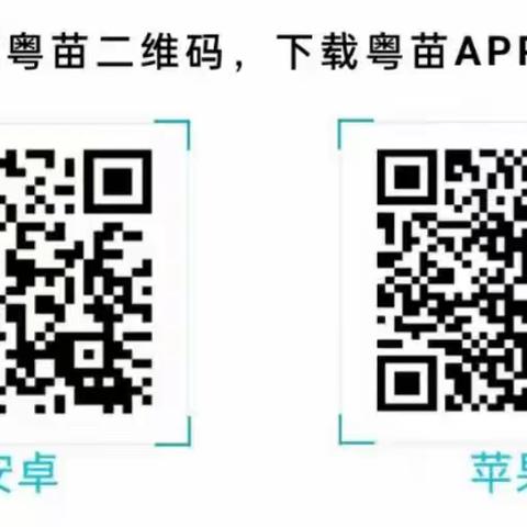 关于粤苗APP下载儿童入学预防接种查验证明操作指引