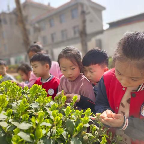 爱在春天·拥抱自然——师范附小幼儿园一周精彩回顾！