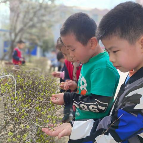 爱在春天·乐享自然——师范附小幼儿园——大十一班一周精彩回顾！