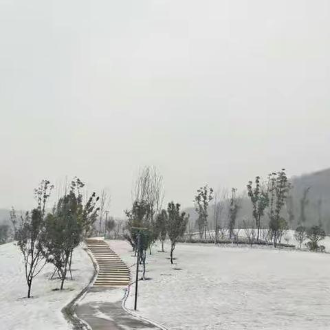 盘龙山看雪