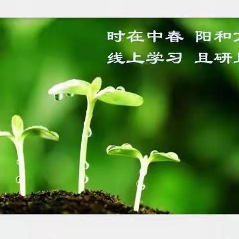且思且行，行以至诚——线上教学总结
