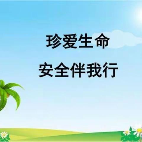 “珍爱生命，安全伴我行”安全教育主题班队会