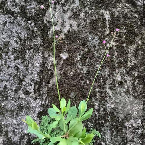 润物细无声