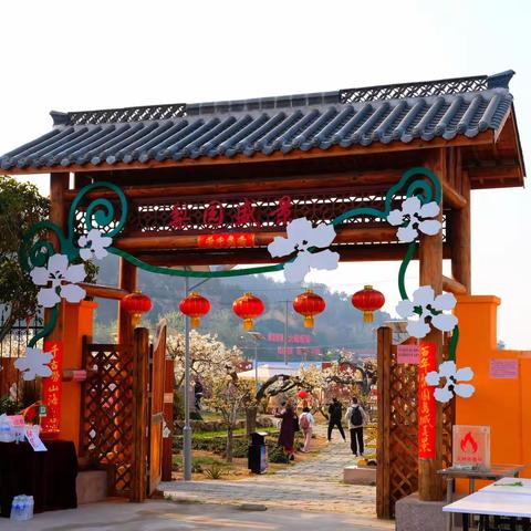 青岛--登瀛梨雪公园