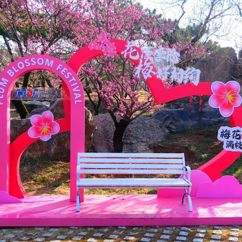 青岛--2024年梅花节