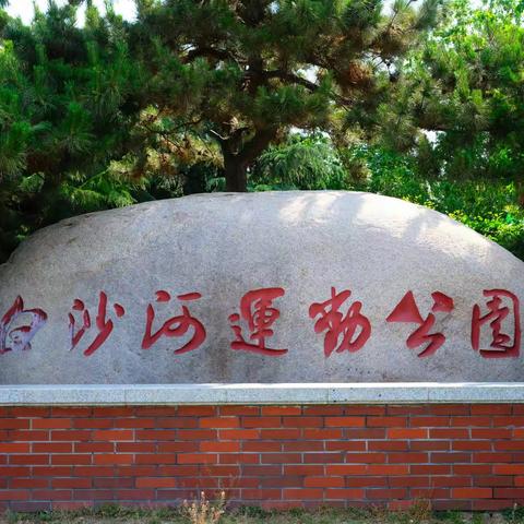 青岛--白沙河运动公园
