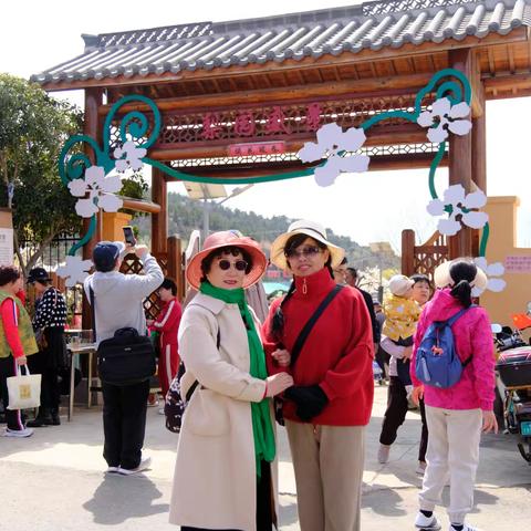 崂山登瀛梨雪：四月梨云落人间