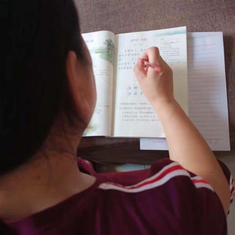 2020年，改变了我的教学模式