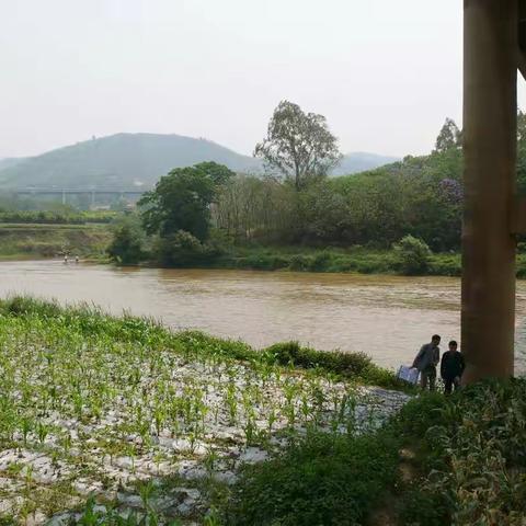 红河州南盘江河道情况