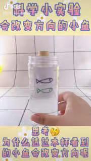 关注【京师光洋】“停课不停学，空中课堂”方案：3月26日家庭教育一日活动