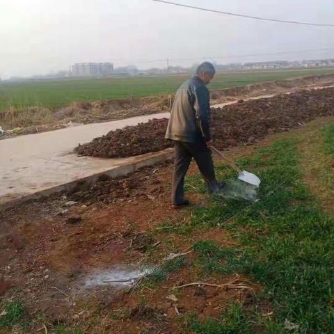 大河道乡植树造林工作全面启动，河渠治理持续进行