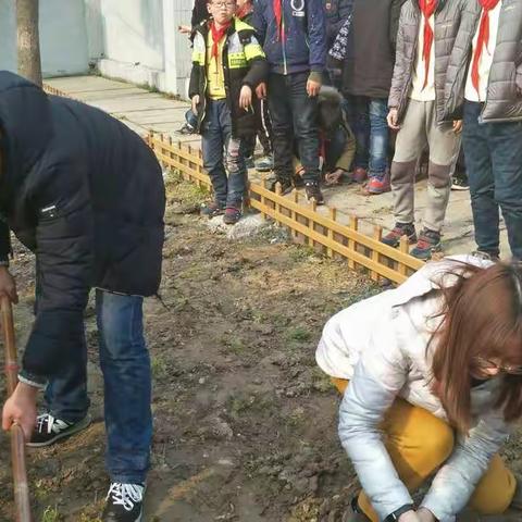 绿野仙踪之播种希望篇