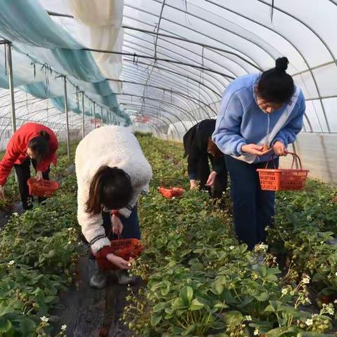 “春风如沐，巾帼绽芳华” ——砀山县支行组织开展庆“三八”妇女节系列活动