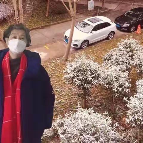 下雪了