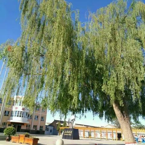 用心沟通学会理解 用情交流彼此尊重 ——培仁学校四（5）班家长会纪实