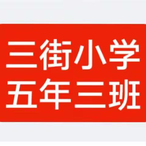 三街小学五年三班   快乐假期 智慧成长
