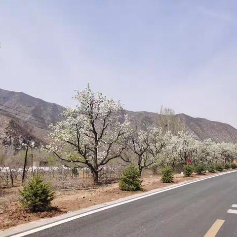 西地镇：联合区交通局高标准打造大王线旅游示范带