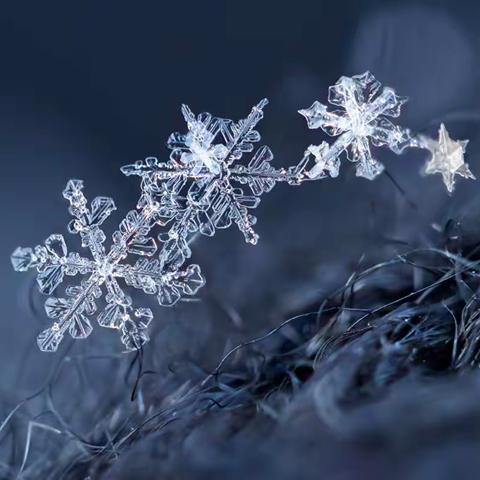 【和谐经开  自信世纪】《立冬日遇初雪 邂逅最美童年 》之数学篇——“数雪”时光妙趣多