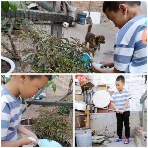 体验快乐，收获成长——西关小学二二班张凯博