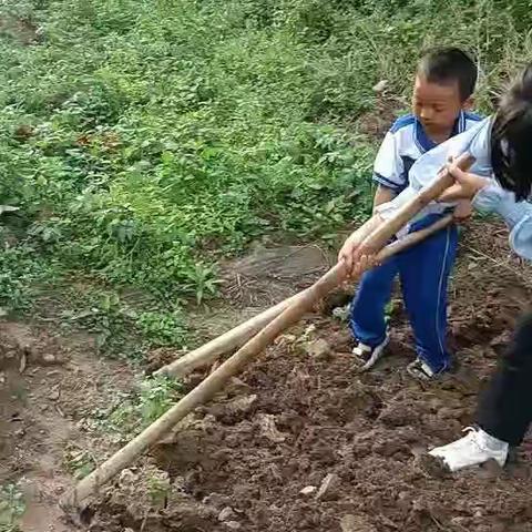 美好生活劳动创造