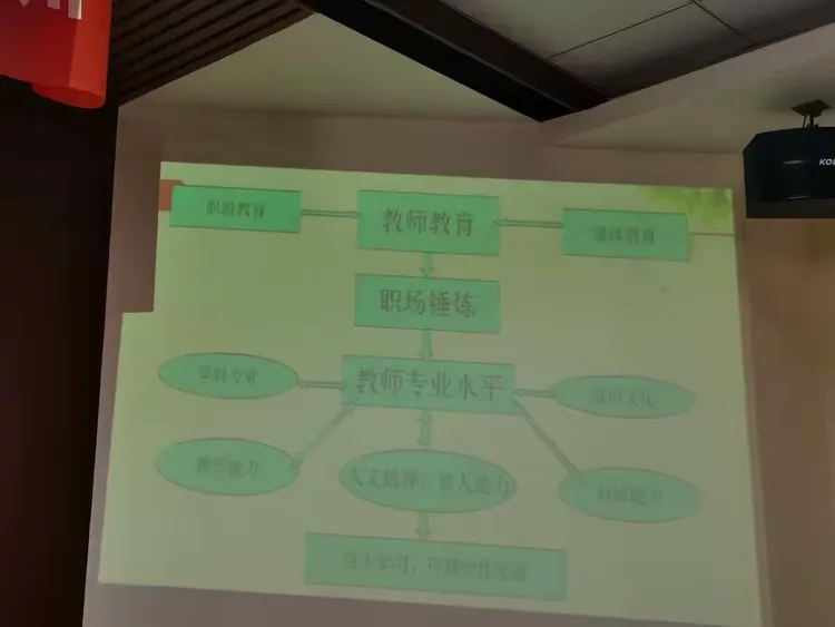 如何进行教师专业化发展？