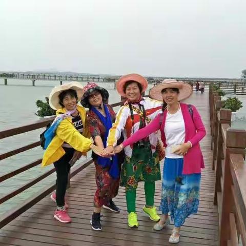 秋游湛江湾