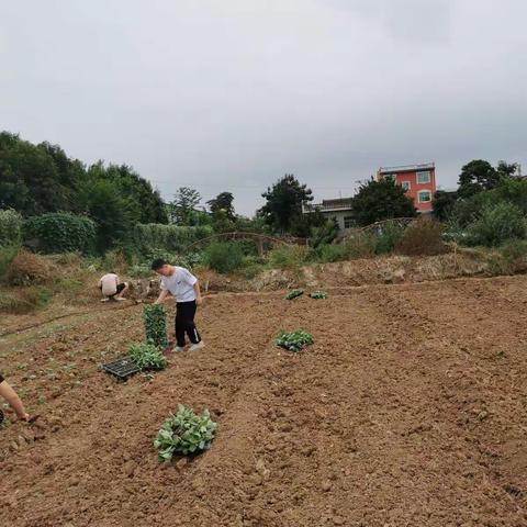 最熟悉的陌生人的美篇