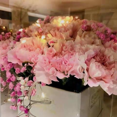 感谢你！神秘送花人！                                 ——你予我鲜花的芬芳，我共你为生命续航！