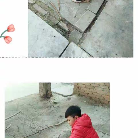 大家好，我是池阳小学二年级三班姜博辕，在家帮奶奶捡柴火，不乱跑