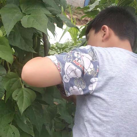 我是池阳小学四年级三班学生姜博辕，我正在参加池阳小学“喜迎二十大，争做好少年”主题微实践“微劳动”活动。