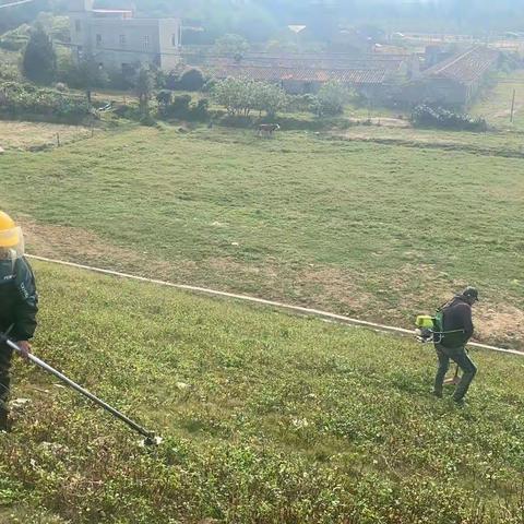 新一轮管养除草，打造魅力水库