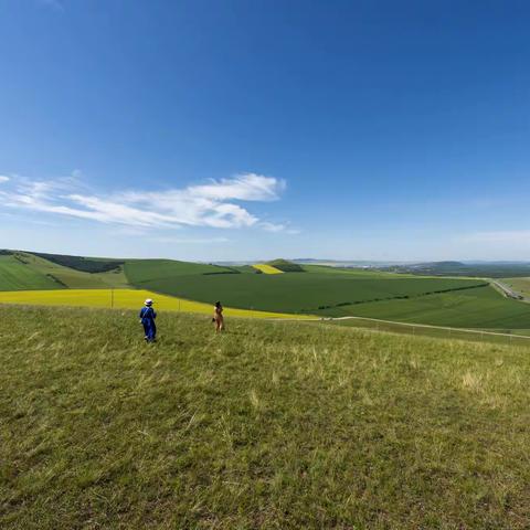 7月呼伦贝尔草原-2